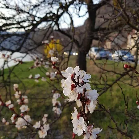 Alloggio in famiglia Gaestezimmer Rolea