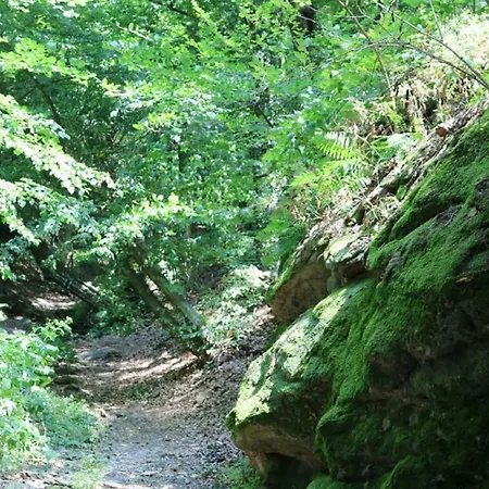 Gaestezimmer Rolea