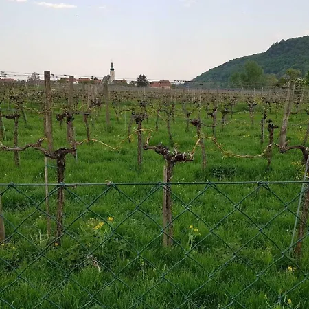 Gaestezimmer Rolea Alloggio in famiglia Dürnstein