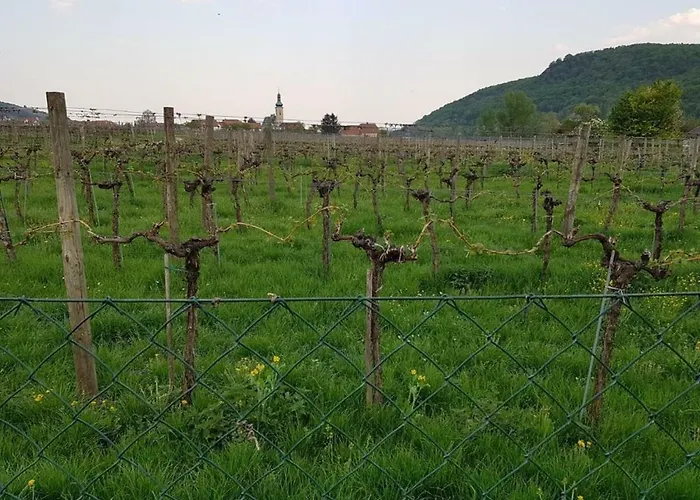 Gästezimmer Rolea Privatunterkunft Dürnstein